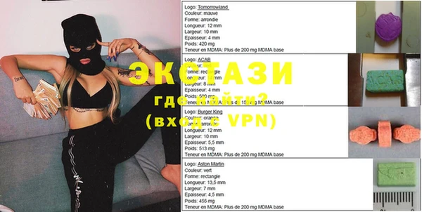 ECSTASY Ельня