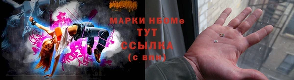 ECSTASY Ельня