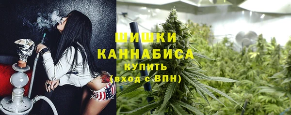 ECSTASY Ельня
