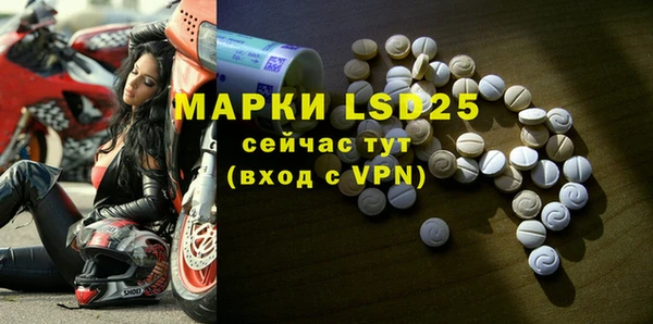 ECSTASY Ельня