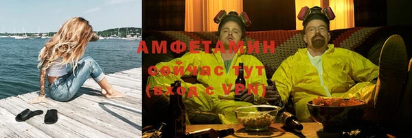 ECSTASY Ельня